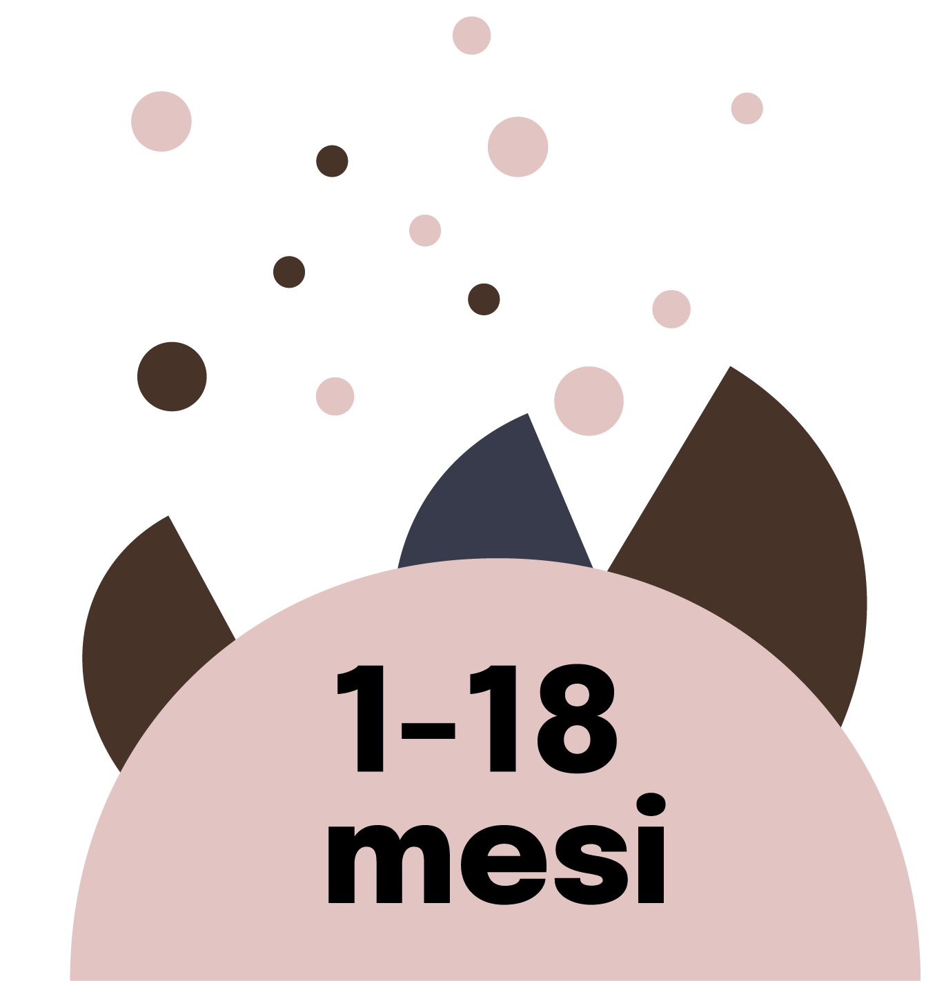 Vuoi valutare gli affitti transitori?